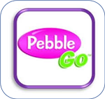 Pebble Go 